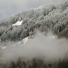 фото "Граница"