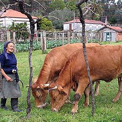 фото "Portuguese People"