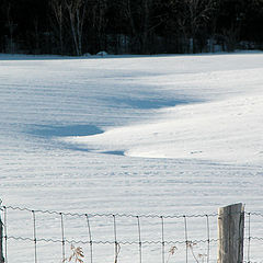 photo "snow shadows"