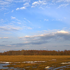 photo "***"