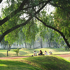 photo "A Summer Day in the Park"