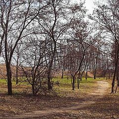 фото "про разные дороги"