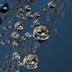 photo "Bubbles"