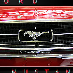 photo "For Mustang"