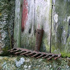 photo "Wooden Rake"