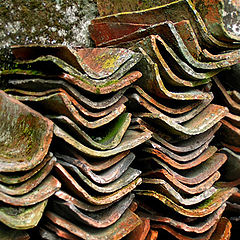 фото "Roof Tiles"