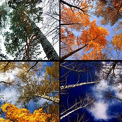 фото "Небесные ипостаси"
