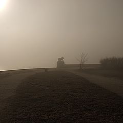 фото "Львенок в тумане"
