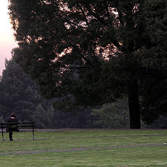 фото "Girl on a park"