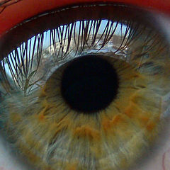 photo "Eye"