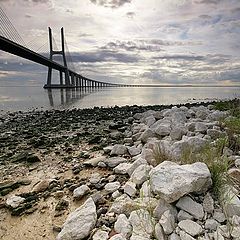 фото "The bridge"