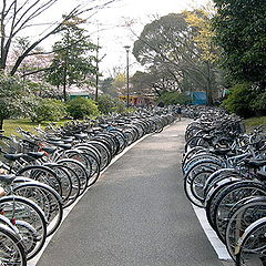 photo "Country of bicycles"