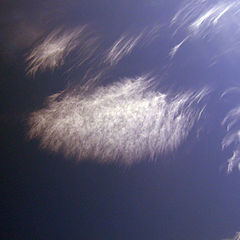 photo "Clouds Feather"