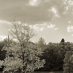 photo "Watching the colour of autumn"