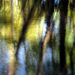 фото "Reflections by the creek"