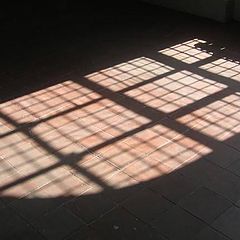 фото "Light."