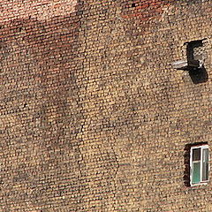 фото "The Windows"