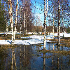 photo "Spring in Finland"