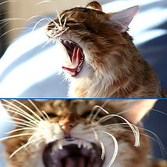 photo "Warming up :)"