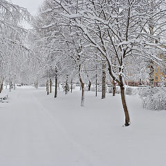 фото "Снегопад в апреле / 0158_0141-0147"