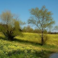 photo "Tableau du Printemps"