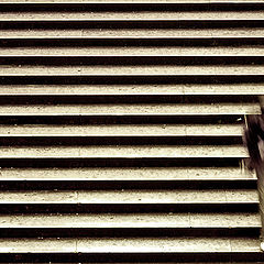 фото "escalier**"