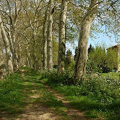 photo "Canal du Midi"