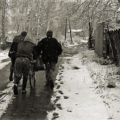 фото "Первый снег"