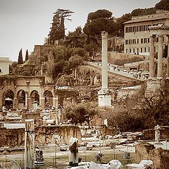 фото "Roman Forum"