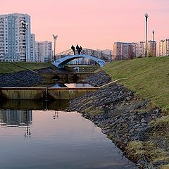 фото "Вечерний разговор"