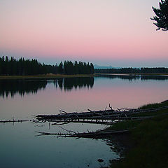 фото "Rose Sunset on Yellowstone River"