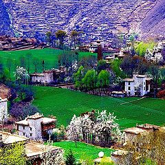 фото "Mountain valley spring"