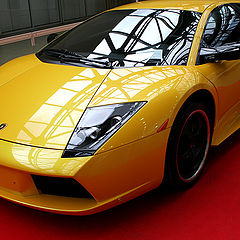 фото "Lamborghini Murcielago"