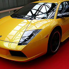 photo "Lamborghini Murcielago"