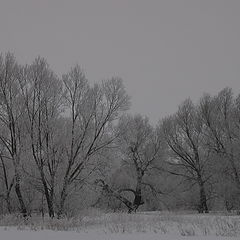 фото "Воспоминание о зиме"