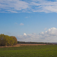 фото "Апрель"