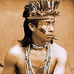 photo "Brazilian native"