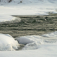 photo "Winter stream II"