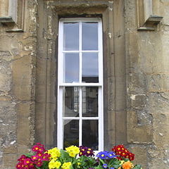 photo "Flowers in the window"