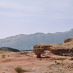 photo "Landscape with a stone mushroom."