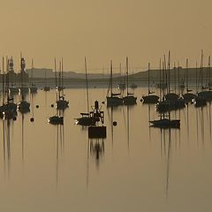photo "Yachts at Dawn"