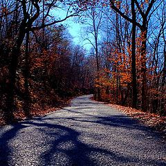 photo "Road to the Top"