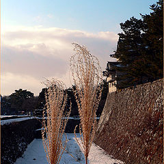 photo "In Nagoya castle"