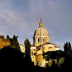 photo "Pini presso il Mausoleo di Augusto"