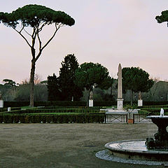 фото "I pini di Villa Medici al tramonto"