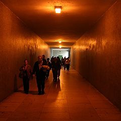 photo "The tunnel"