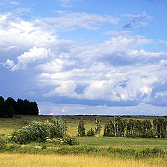 photo "waiting for the storm"