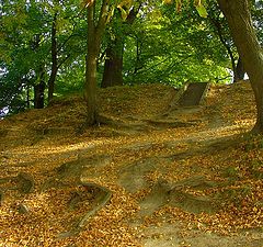 photo "Stairs to heaven"