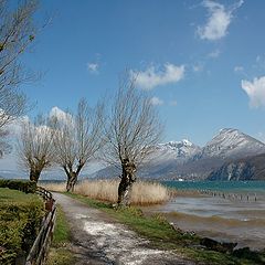 фото "Windy day"