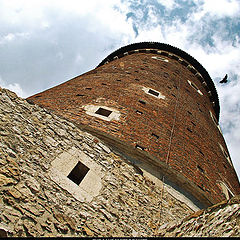 photo "Sandomierz Tower"